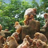 广州市流溪河国家森林公园19257