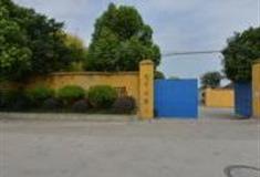 上海宝山马家桥庙怎么玩？附游玩路线