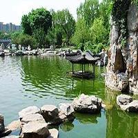 北京龙潭公园17754