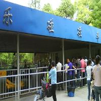 上海共青国家森林公园17729