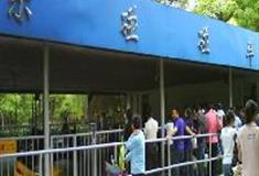 上海共青国家森林公园：欢乐碰碰车售票处