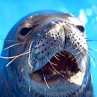 广州海洋馆17788