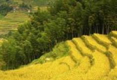 赣州上堡风景区怎么玩？附游玩路线