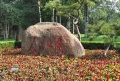 潍坊人民公园怎么玩？附游玩路线