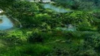 上饶云碧峰国家森林公园怎么玩？附游玩路线