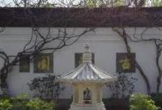 上海古藤园怎么玩？附游玩路线