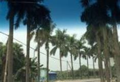 江门大西坑公园怎么玩？附游玩路线