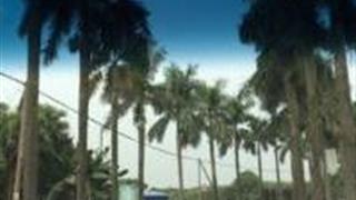 江门大西坑公园怎么玩？附游玩路线