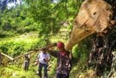 金华安凤古道群怎么玩？附游玩路线