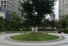 成都成华和美公园怎么玩？附游玩路线