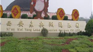 西安未央湖游乐园怎么玩？附游玩路线