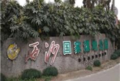 上海西沙国家湿地公园怎么玩？附游玩路线