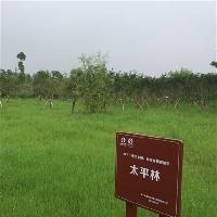 长沙洋湖湿地公园18318