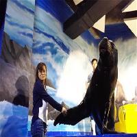 江苏张家港梦幻海洋王国19672