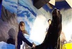 江苏张家港梦幻海洋王国：海狮