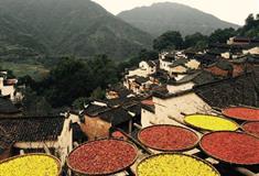 上饶婺源篁岭怎么玩？附游玩路线