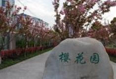 上海高东樱花园怎么玩？附游玩路线