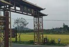 长沙丰收湾怎么玩？附游玩路线