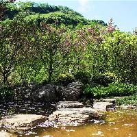 天府花溪谷17199