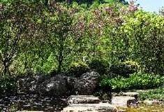 天府花溪谷：花开石里