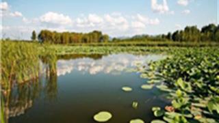 北京野鸭湖国家湿地公园怎么玩？附游玩路线