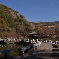 丽江观音峡景区19292