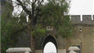 滨州魏氏庄园怎么玩？附游玩路线