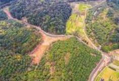 深圳罗田森林公园怎么玩？附游玩路线