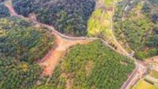 深圳罗田森林公园怎么玩？附游玩路线