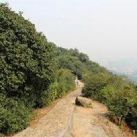 杭州西湖风景名胜区18594