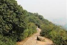 杭州西湖风景名胜区：挂牌山