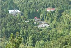 九江庐山植物园怎么玩？附游玩路线