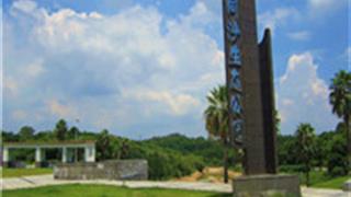 东莞同沙生态公园怎么玩？附游玩路线