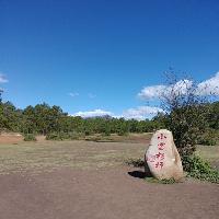 拉市海湿地公园19313