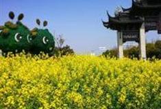 上海花米庄行怎么玩？附游玩路线