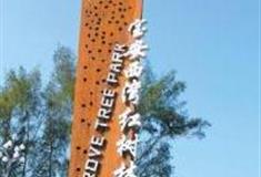 深圳西湾红树林公园怎么玩？附游玩路线