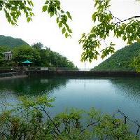 遂昌金矿国家矿山公园19345