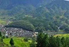 丽水庆元月山村怎么玩？附游玩路线
