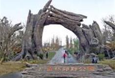 上海广富林郊野公园怎么玩？附游玩路线