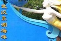 武汉东湖海洋乐园怎么玩？附游玩路线