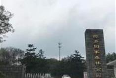 泰安药乡国家森林公园怎么玩？附游玩路线