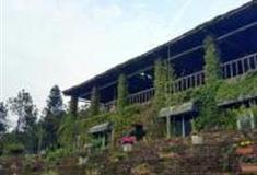 泉州南安香草世界怎么玩？附游玩路线