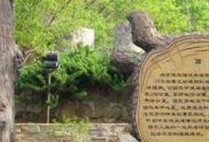 北京延庆硅化木国家地质公园怎么玩？附游玩路线