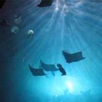 广州海洋馆17789