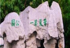 无锡城中公园怎么玩？附游玩路线