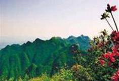 重庆川河盖草场旅游区怎么玩？附游玩路线