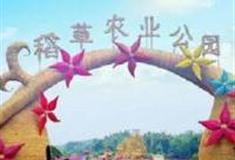 广州稻草农业公园怎么玩？附游玩路线