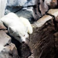 江苏张家港梦幻海洋王国19680