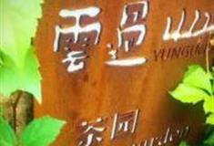 日照云过山丘茶旅文化园怎么玩？附游玩路线