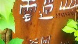 日照云过山丘茶旅文化园怎么玩？附游玩路线